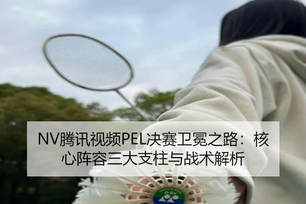 NV腾讯视频PEL决赛卫冕之路：核心阵容三大支柱与战术解析