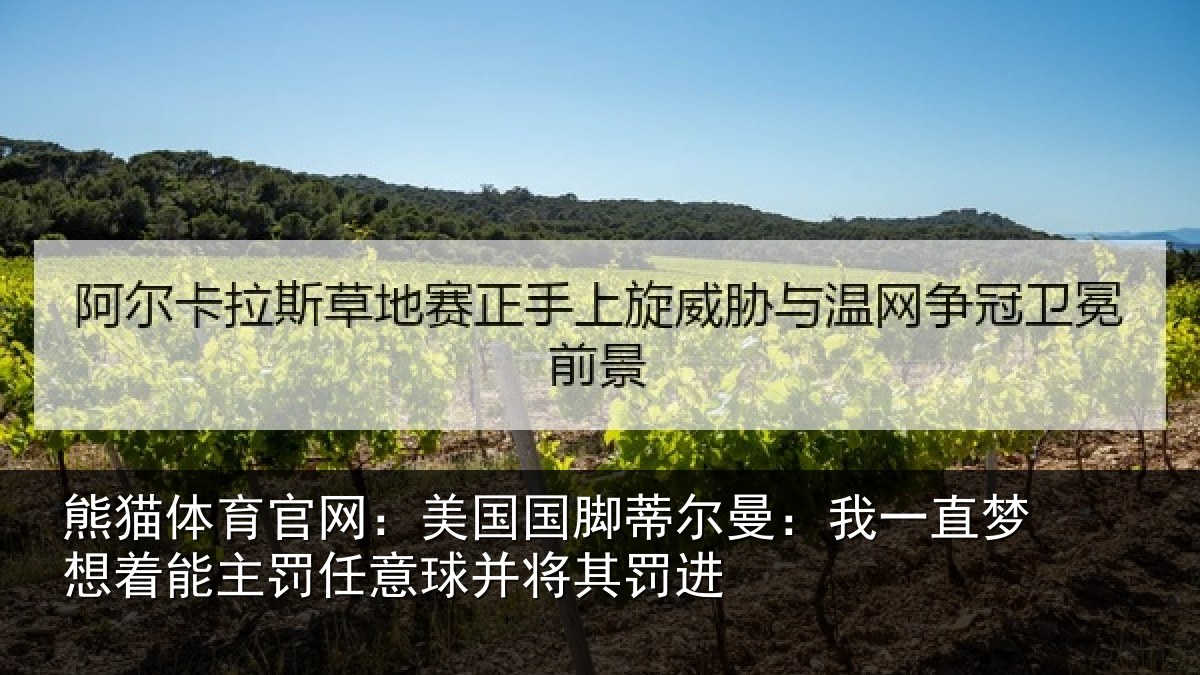 熊猫体育官网：美国相关情况相关情况球并将其罚进