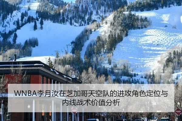 li-yue-ru-zai-zhi-jia-ge-tian-kong-dui-de-jin-gong-jue-se-ding-wei-yu-nei-xian-zhan-shu-jia-zhi-fen-xi-2-472.jpg