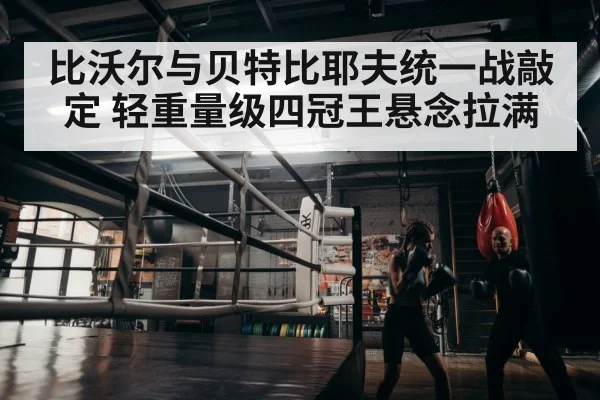 boxer training
